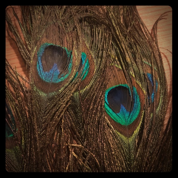 🌸Cherry blossom vase with 10 🦚Peakcock feather - Picture 3 of 6